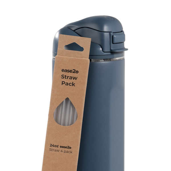 Ease2o Straws 4 Pack 24oz Z8